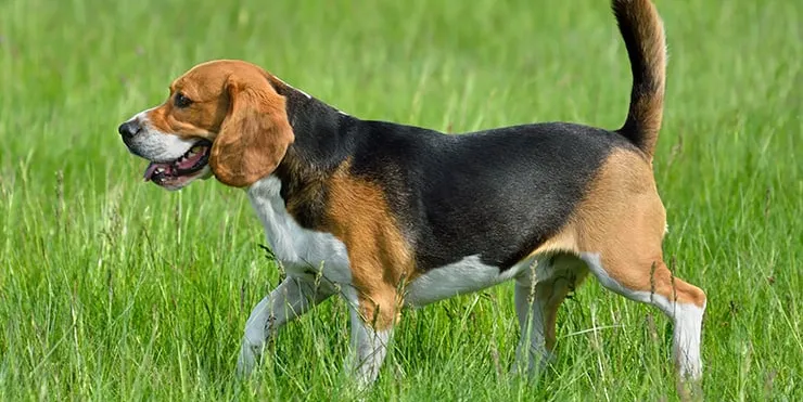 Imagen cabecera post