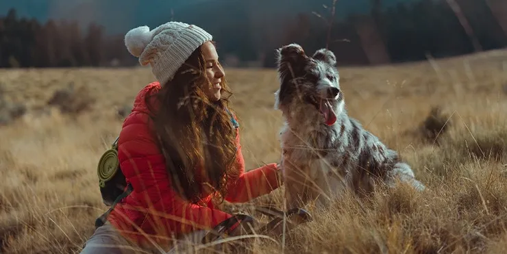 Imagen cabecera post