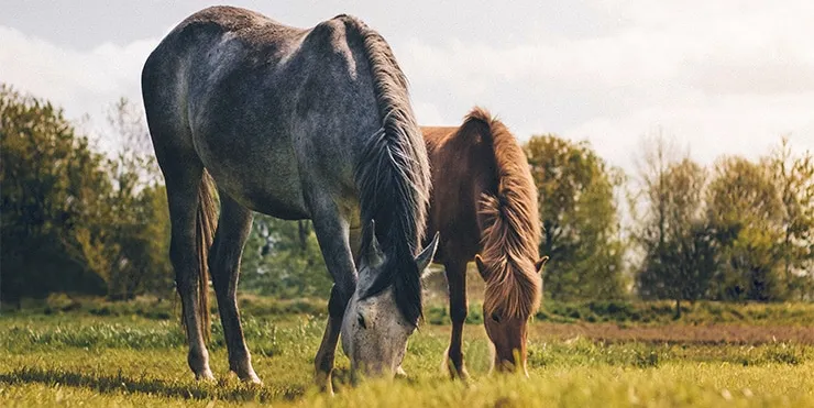 Imagen cabecera post