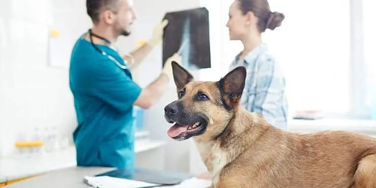 Imagen cabecera post