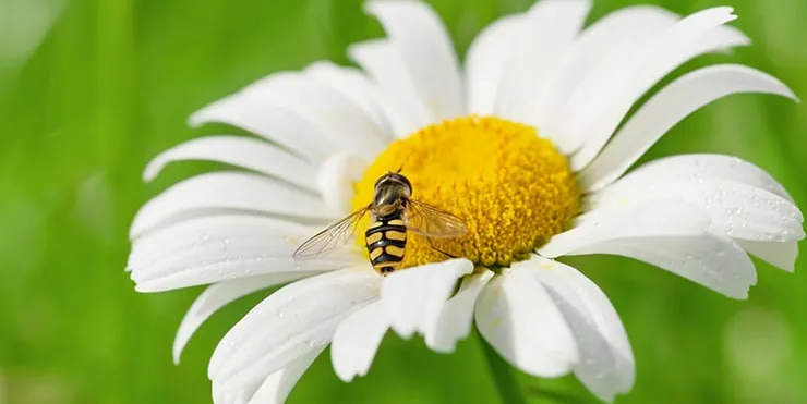 Imagen cabecera post