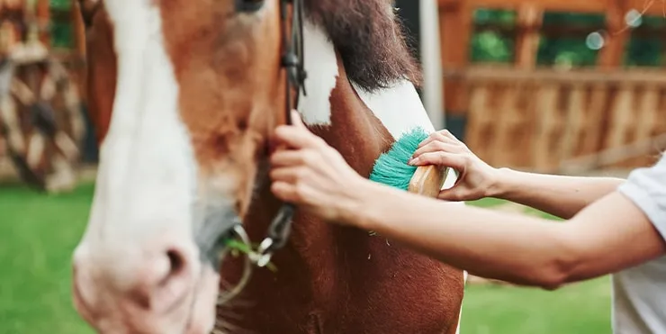 Imagen cabecera post