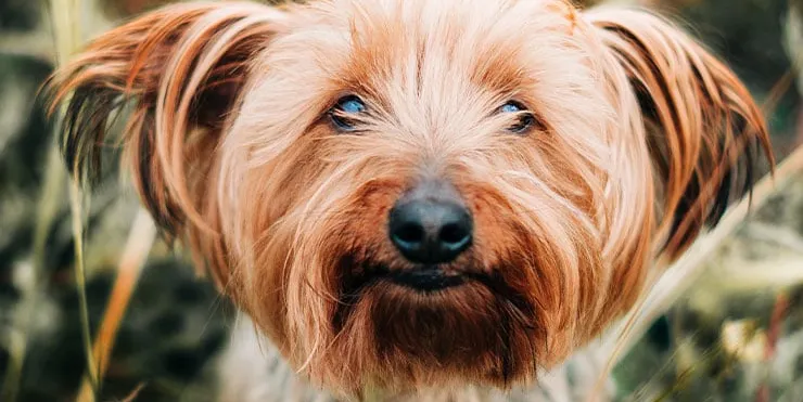 Imagen cabecera post