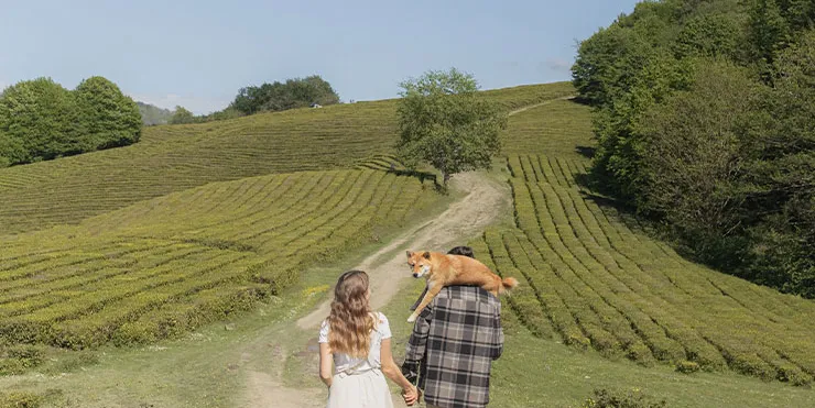 Imagen cabecera post