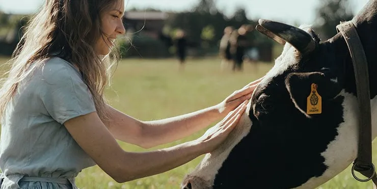 Imagen cabecera post