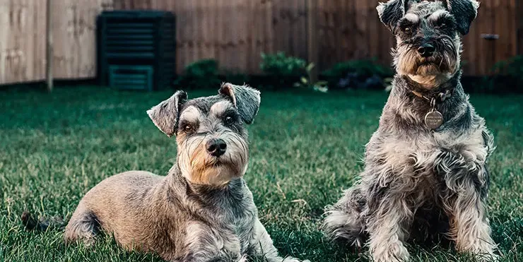 Imagen cabecera post