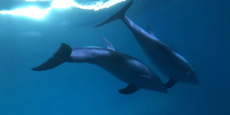 Imagen cabecera post