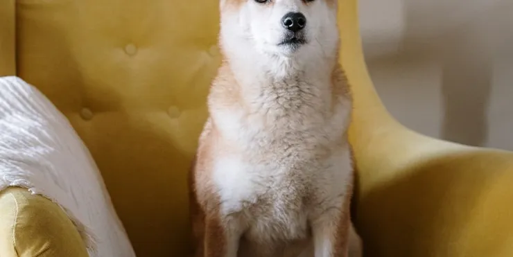 Imagen cabecera post