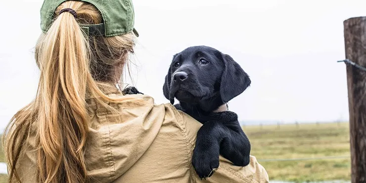 Imagen cabecera post