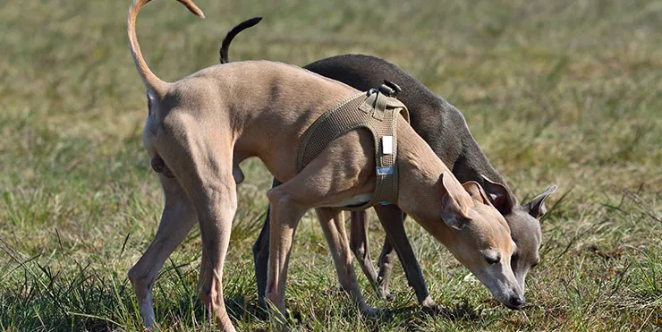 Imagen cabecera post