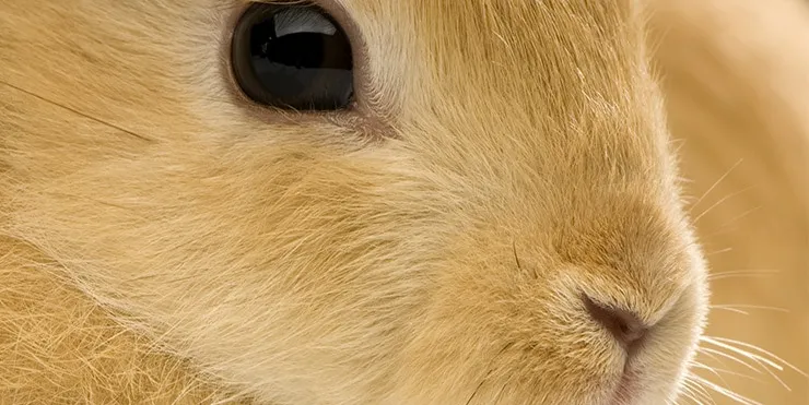 Imagen cabecera post