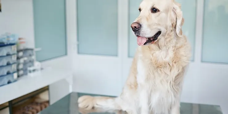 Imagen cabecera post