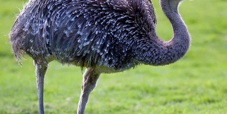 Imagen cabecera post