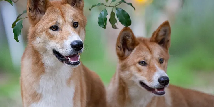 Imagen cabecera post