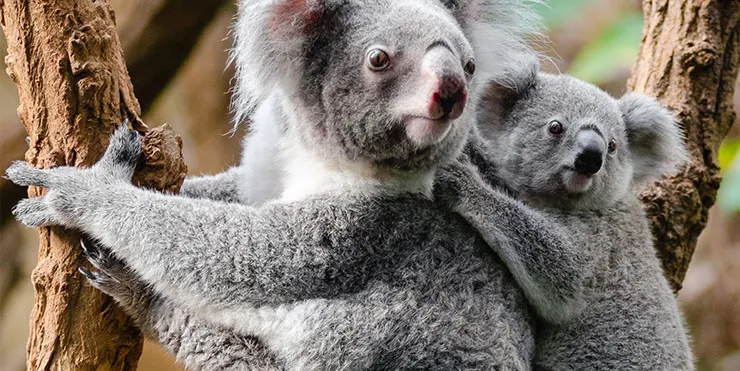 Imagen cabecera post