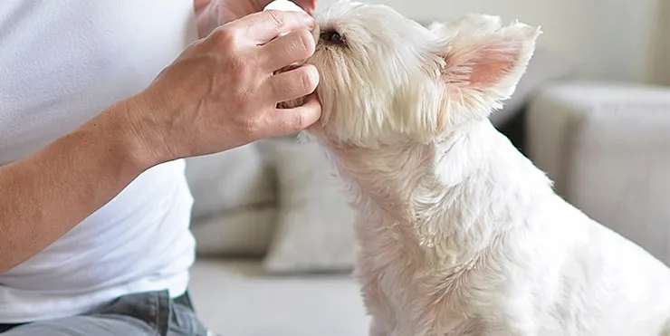 Imagen cabecera post