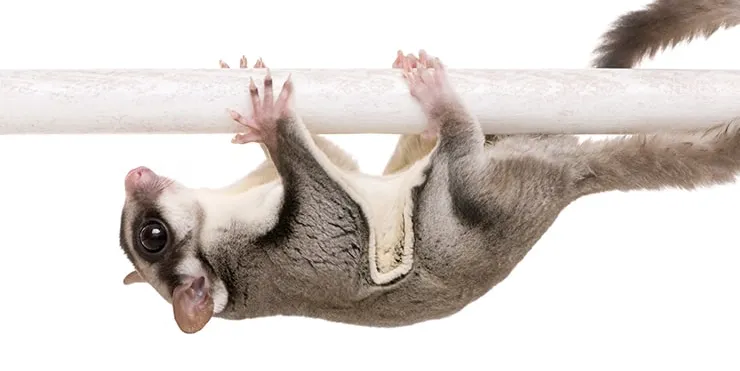 Imagen cabecera post