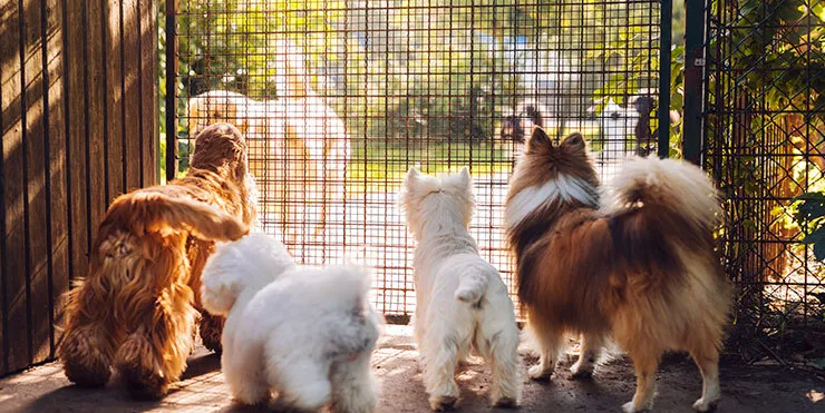 Imagen cabecera post