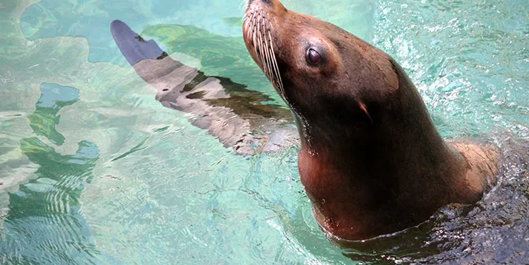 Imagen cabecera post