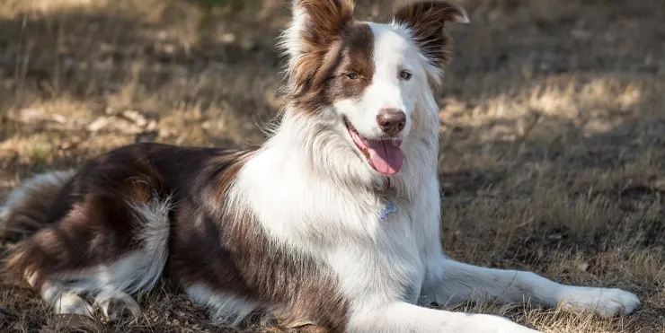 Imagen cabecera post