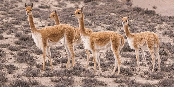 Imagen cabecera post