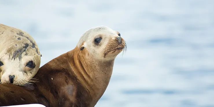 Imagen cabecera post