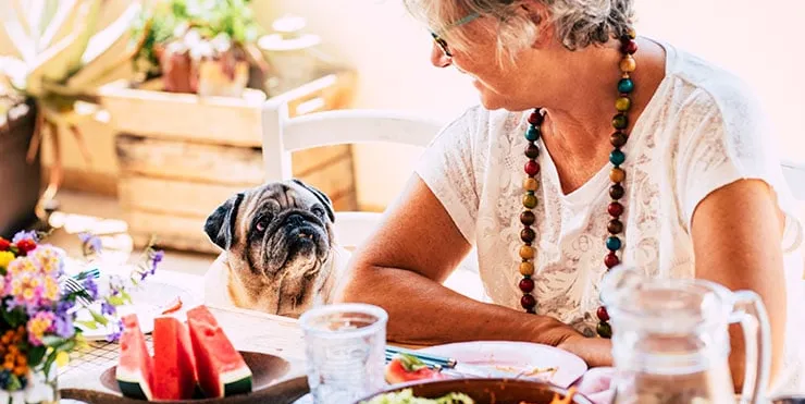 Imagen cabecera post