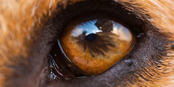 Imagen cabecera post