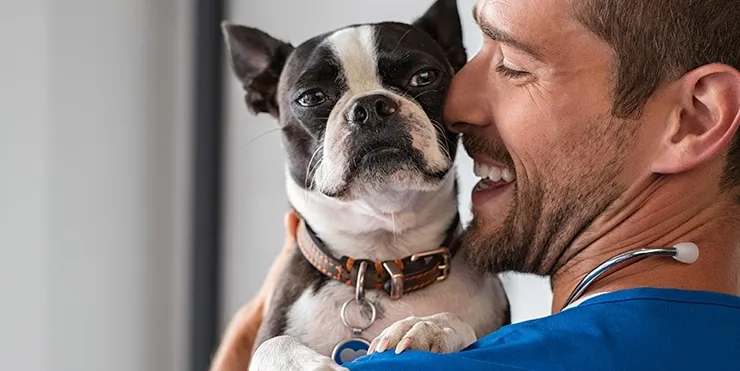 Imagen cabecera post