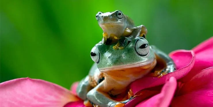 Imagen cabecera post