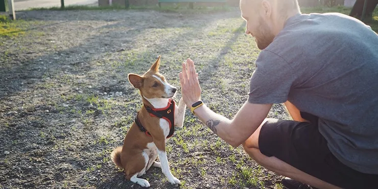 Imagen cabecera post