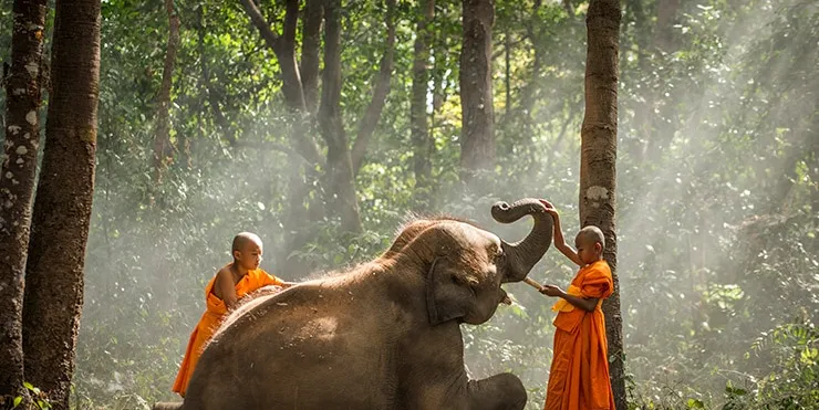 Imagen cabecera post