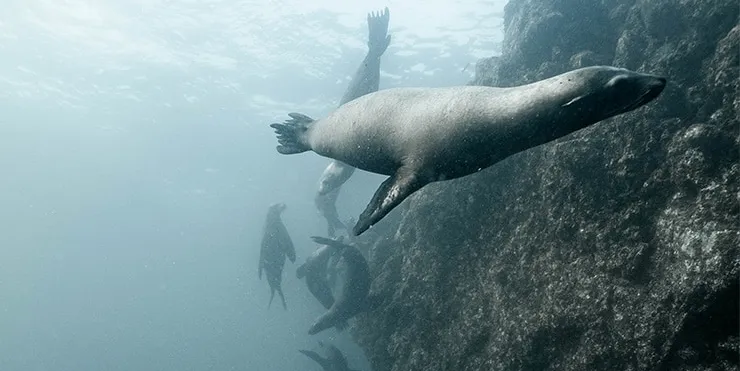 Imagen cabecera post