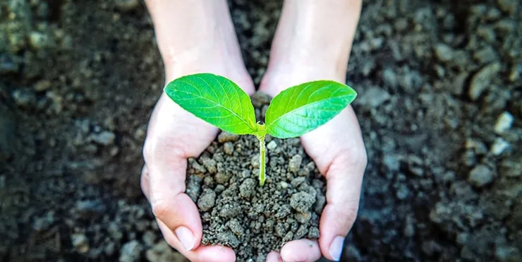 Imagen cabecera post