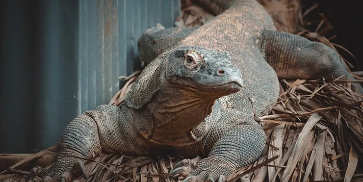 Imagen cabecera post