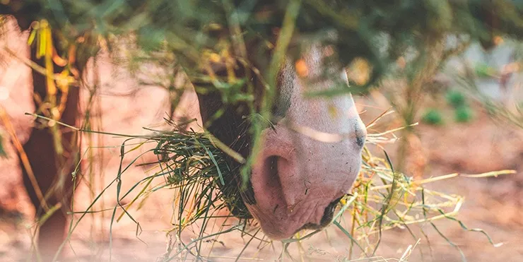 Imagen cabecera post