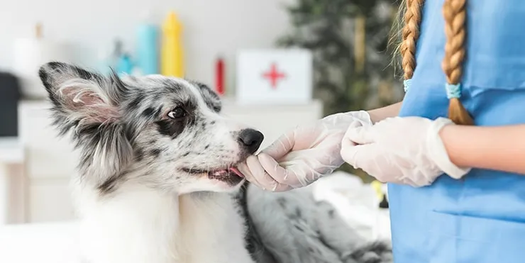 Imagen cabecera post