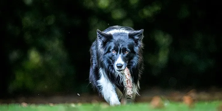 Imagen cabecera post