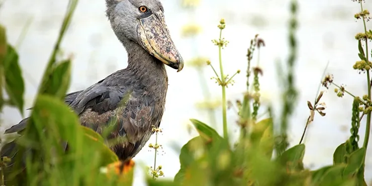 Imagen cabecera post