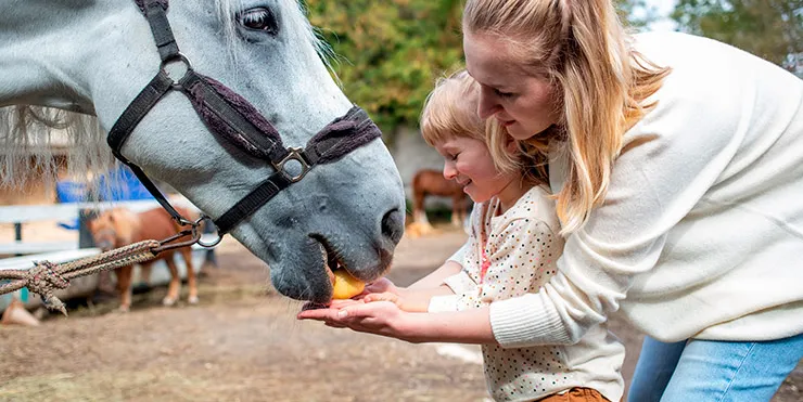 Imagen cabecera post