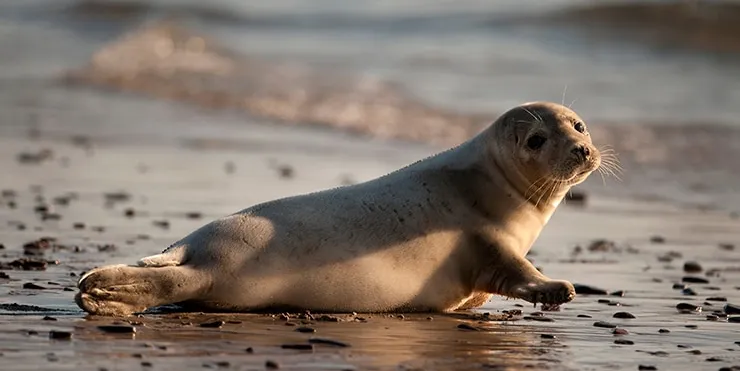 Imagen cabecera post