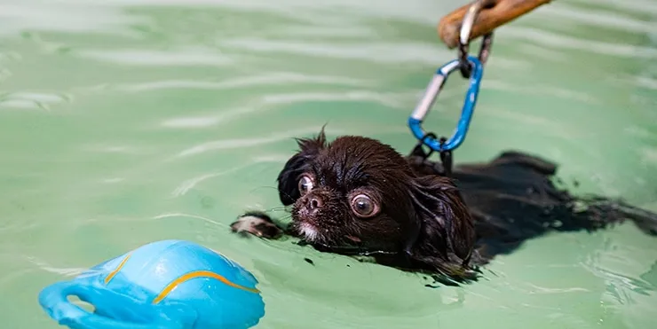 Imagen cabecera post