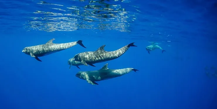 Imagen cabecera post