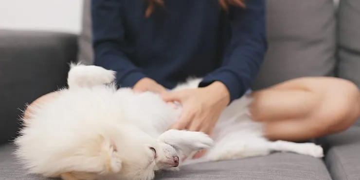 Imagen cabecera post