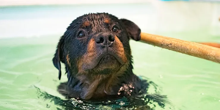 Imagen cabecera post