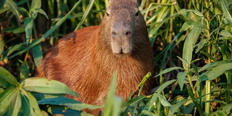 Imagen cabecera post