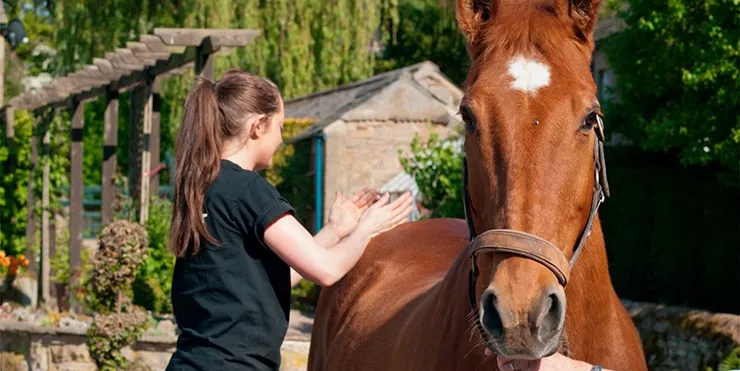 Imagen cabecera post