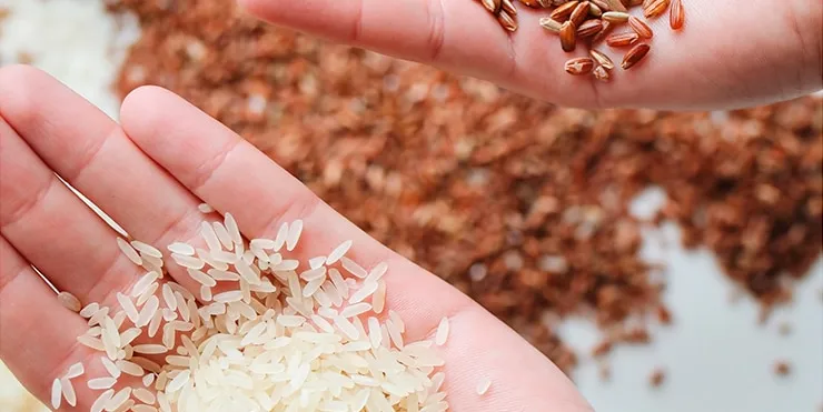 Imagen cabecera post