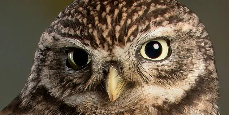 Imagen cabecera post