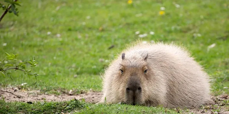 Imagen cabecera post